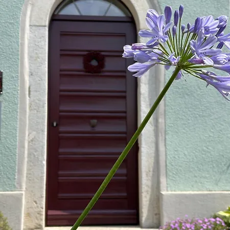 Zu Gast Im Jurahaus * Eichstätt